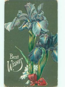 Divided-Back BEAUTIFUL FLOWERS SCENE Great Postcard AA3403