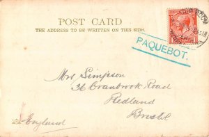 South Africa Kremans Falls and River Kuysna District Knysna  vintage postcard