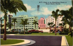 Florida Miami Some Of The Magnificent Hotels 1954 Curteich