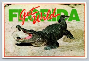 Get Wild Albert the Alligator in Florida 4x6 Postcard 1808