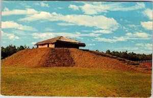 NATIVE INDIAN SCENE Between Albemarle & Wadsboro North Carolina NC AK8038