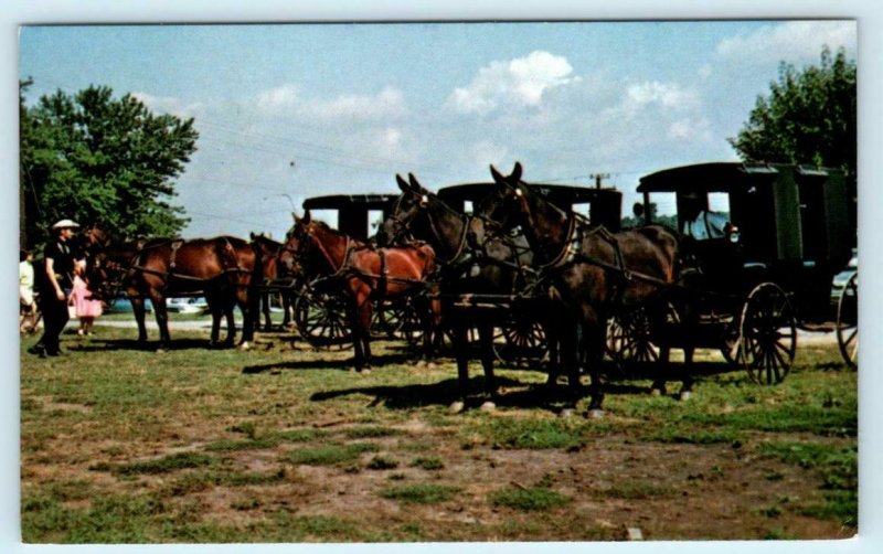 BERLIN, Ohio OH ~ PIONEER DAYS Amish Buggies - Holmes County c1960s-70s Postcard