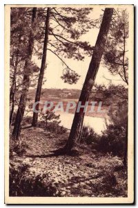 Postcard Old Hossegor Landes Cote d'Argent A view of Lake Travers Les Pins