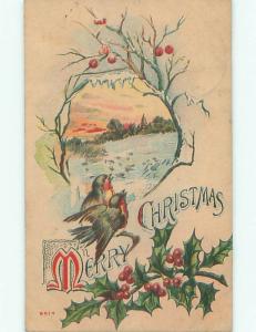 Divided-Back CHRISTMAS BIRDS SCENE Pretty Postcard W8573