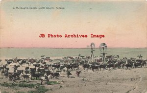 KS, Scott County, Kansas, Farming Scene, L.M. Tough's Ranch, Cows,Estrand No 380