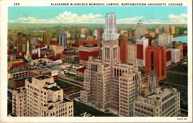 Alexander Mckinlock Memorial Campus Northwestern University Chicago Postcard UNP 