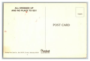 Postcard Bushel Of Pork All Dressed Up And No Place To Go Standard View Card