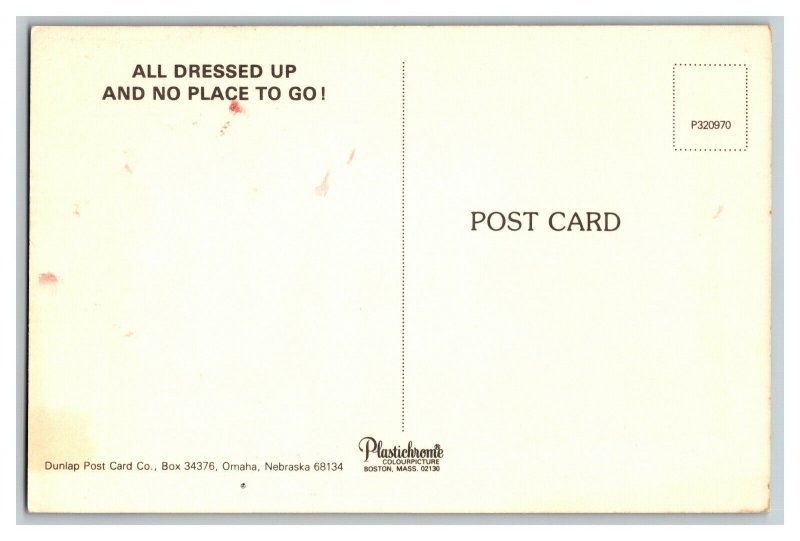 Postcard Bushel Of Pork All Dressed Up And No Place To Go Standard View Card 