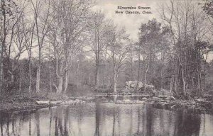 Connecticut New Canaan Silvermine Stream Albertype