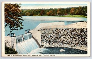State View~Birdseye~Dam At Mooseheart Lake Near Aurora Illinois~Vintage Postcard