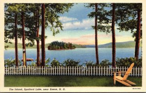 New Hampshire Keene Spafford Lake The Island Curteich