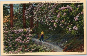postcard TN Great Smoky Mountains - Rhododendron Trail