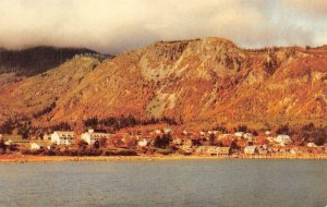 HAINES, AK Alaska  CITY VIEW  Waterfront Homes~Buildings c1950's Chrome Postcard