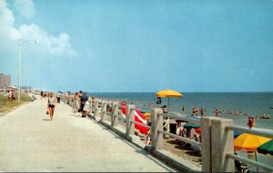 Virginia Virginia Beach View Of Beach