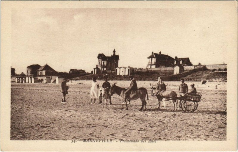 CPA BARNEVILLE - Promenade des anes (149196)