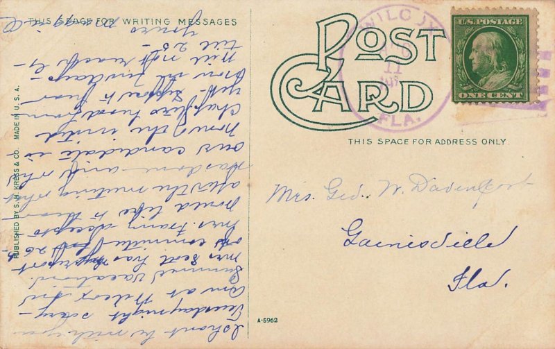 Jacksonville Florida FL~Masonic Temple~1911 S H Press Postcard