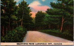 Canada Greetings From Lakefield Ontario Linen Postcard 09.99