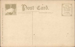 Cumberland Maryland MD Bird's Eye View c1900s-20s Postcard