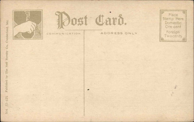 Cumberland Maryland MD Bird's Eye View c1900s-20s Postcard