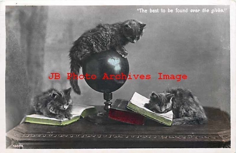 Cats, Aristophot Co No 1407-3, RPPC, Kittens on Books & Globe 