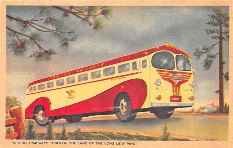 Carolina Trailways NC and VA Bus Lines Linen Postcard