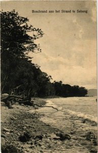 PC CPA SABANG Boschrang aan het Strand INDONESIA (a16633)