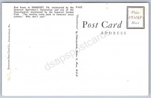 JH16/ Somerset Pennsylvania Postcard Chrome Bird House Sportsmen 53