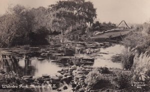 Waterlea Park Blenheim New Zealand Real Photo Old Postcard