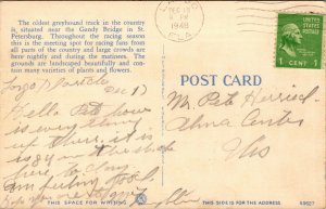 Vtg St Petersburg Florida FL Dog Track from Grandstands 1940s Linen Postcard