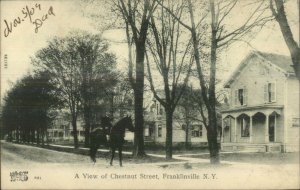 Franklinville NY Horse on Chestnut St. c1910 Postcard