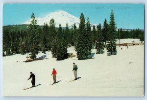 Shasta City California Postcard Snowman Hill Ski Area Mount McCloud 1960 vintage