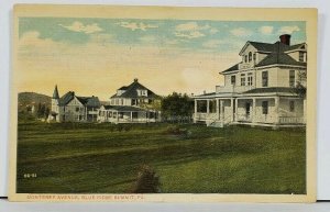 Blue Ridge Summit Pa Monterey Avenue 1917 to Lombard St Baltimore Postcard E7