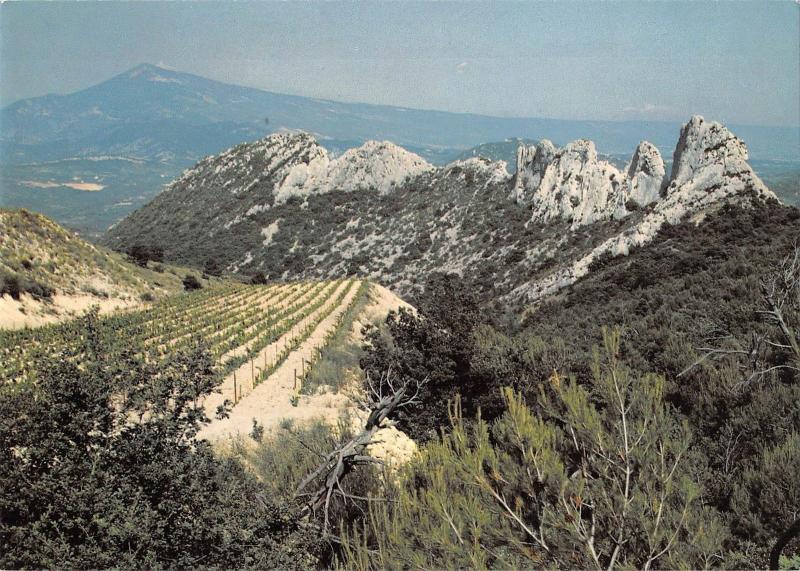 BT8889 Dentelles de montmirail       France