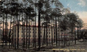 Deland Florida College Arms Hotel View Through the Pines Vintage Postcard U1769