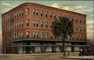 Tampa FL Hotel Olive c1910 Postcard