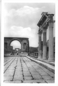 RPPC Italy Pompei Civil Forum Arches of Triumph Bromostampa Glossy Postcard