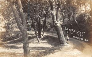 B18/ York Nebraska Ne Real Photo RPPC Postcard 1917 Lovers Lane City Park Kids