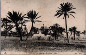 Tunisia Zarzis Habitations Dans l'Oasis Vintage Postcard C146