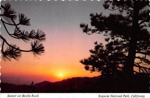 Beetle Rock   Sequoia National Park, California 