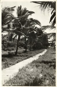 aruba, N.A., SAN NICHOLAS, Palm Trees (1952) RPPC Postcard, Ship Cancel