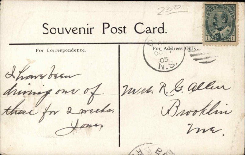 Digby Nova Scotia NS Ox and Wagon w/Handler 1900s-20s Postcard