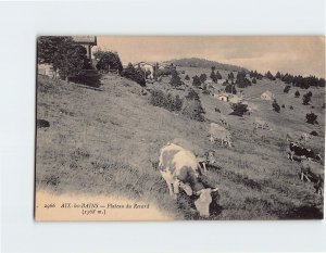 Postcard Plateau du Revard, Aix-les-Bains, France