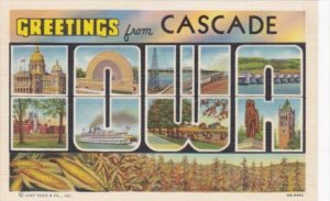 Iowa Greetings From Cascade Large Letter Linen Curteich