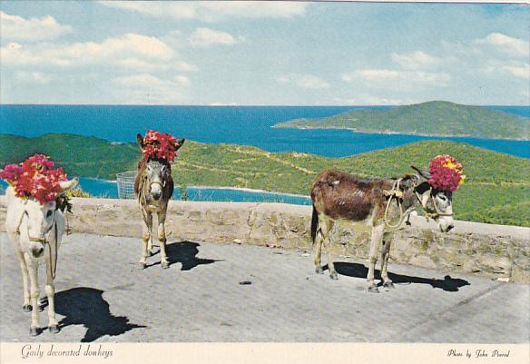 St Thomas Gaily Decorated Donkeys