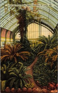 Cycad and Fern House Shaw's Gardens St. Louis MO Postcard PC37