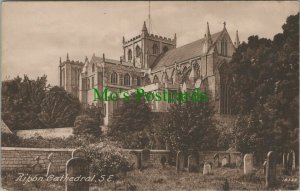 Yorkshire Postcard - Ripon Cathedral, South East View   RS25290