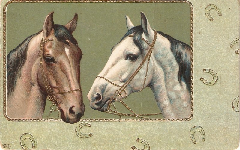 Two horses Heads Nice old vintage German postcard