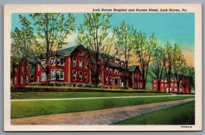 Lock Haven Hospital And Nurses Home Pennsylvania Grounds & Trees Views Postcard