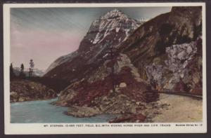 Mount Stephen,Kicking Horse River,BC,Canada Postcard 