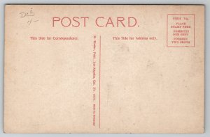 Coeur d'Arlene ID Hotel Idaho Postcard H42